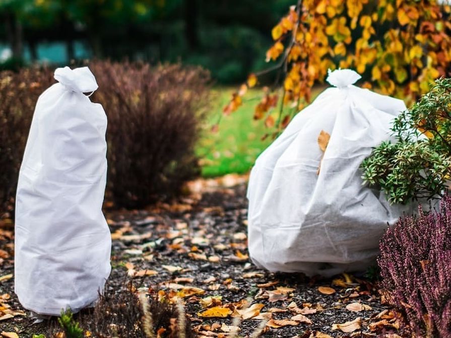Bílá netkaná textilie okolo keřů