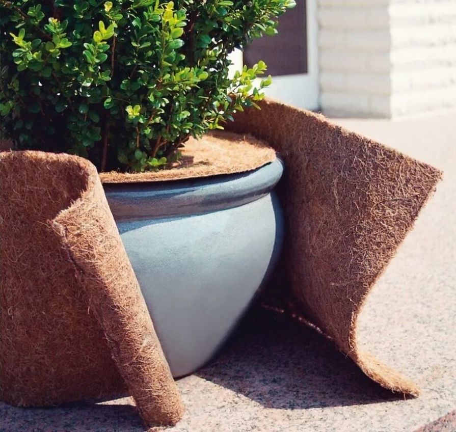 Kokosová rohož na ochranu rostlin proti mrazu