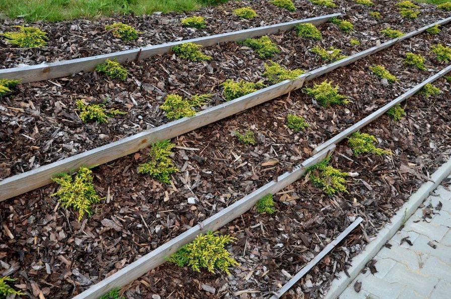 Mulčovací kůra na svahu zajištěná hatěmi