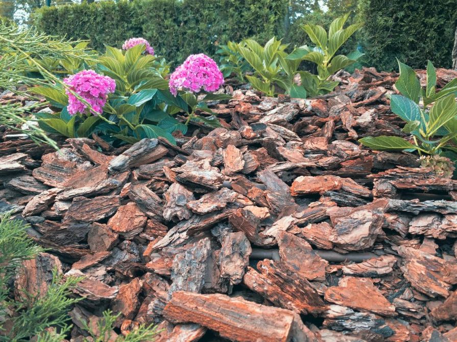 Mulčovací kůra v zahradě