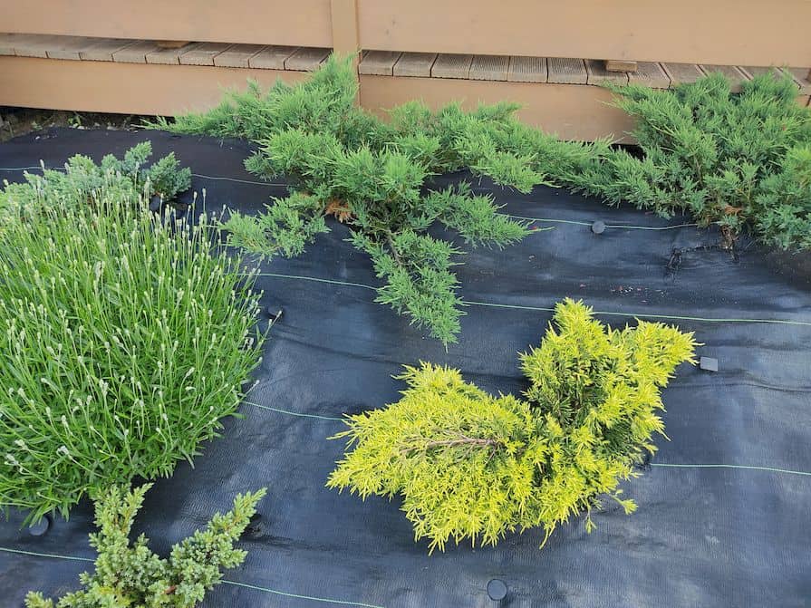 Tkaná textilie s výsadbou rostlin