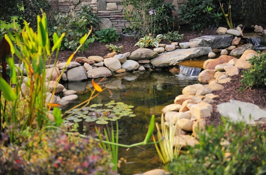 Okrasné zahradní jezírko