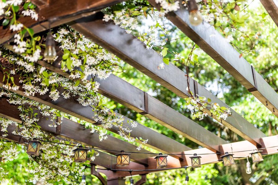 Dřevěná zahradní pergola porostlá vegetací