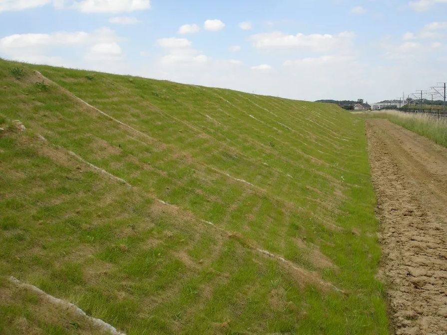 Zatravnění svahu pomocí rohoží