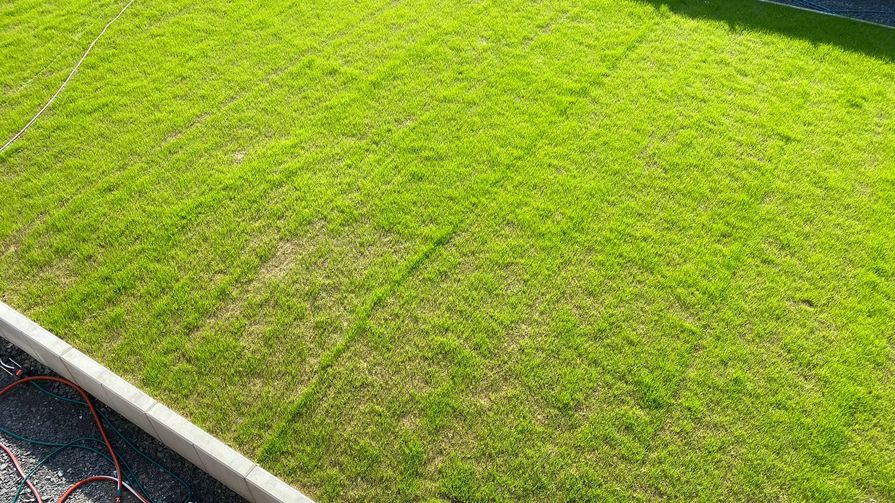 Travní rohož easygreen Sport and Lawn