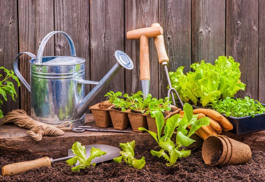 Zahradní níčiní opřené o plot