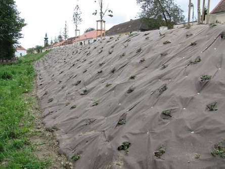 Agrotextilie EKO+ 157g