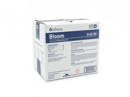 Athena PRO Line Bloom