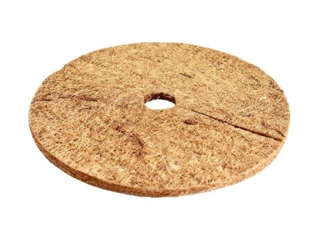 Coir Fiber Ring