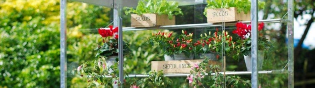 Konstrukce fóliovníku s výsadbou