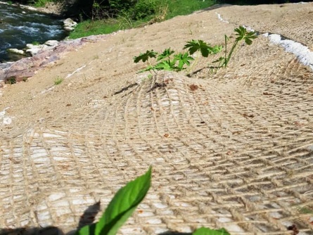 Greentex Geotextile EKO