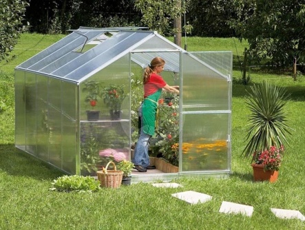 Guttagliss DUAL BOX 4 mm