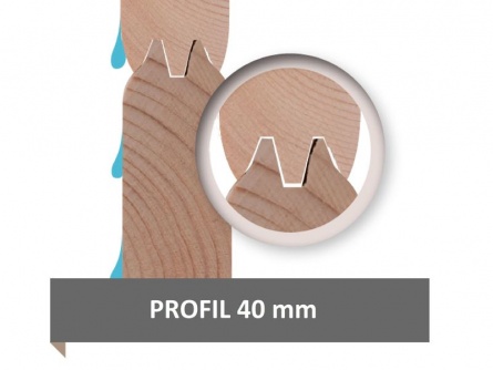 Karibu Tecklenburg 2