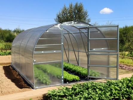 KYKLOP, PC 4 mm, 3×6 m