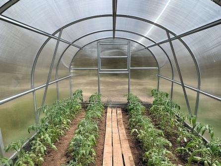 KYKLOP, PC 4 mm, 3×8 m