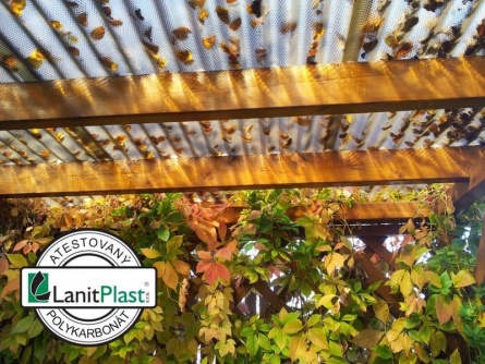 Marlon CSE Diamond VL 76/18