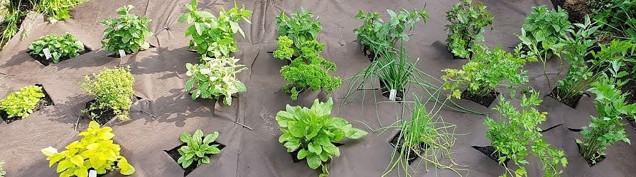 Netkané textilie pod výsadbou rostlin