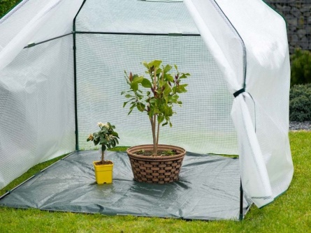 Peperoni 1,8 x 1,8 m