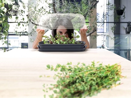 Respana Table Greenhouse