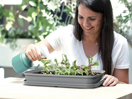 Respana Table Greenhouse