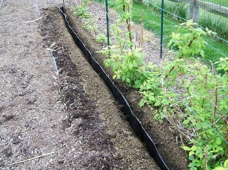 Root barrier
