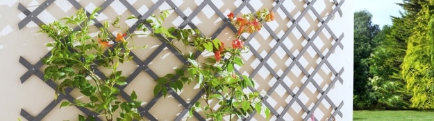 Treláže s rostoucí vegetací