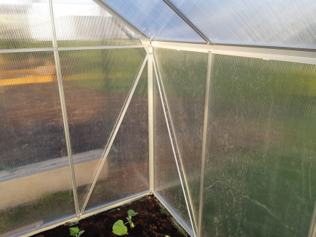 Vitavia Target 2500 PC 4 mm