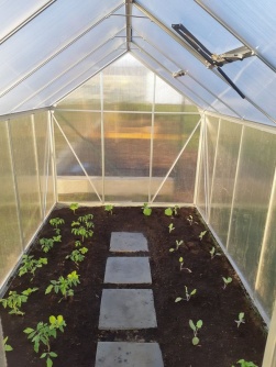 Vitavia Target, PC 4 mm